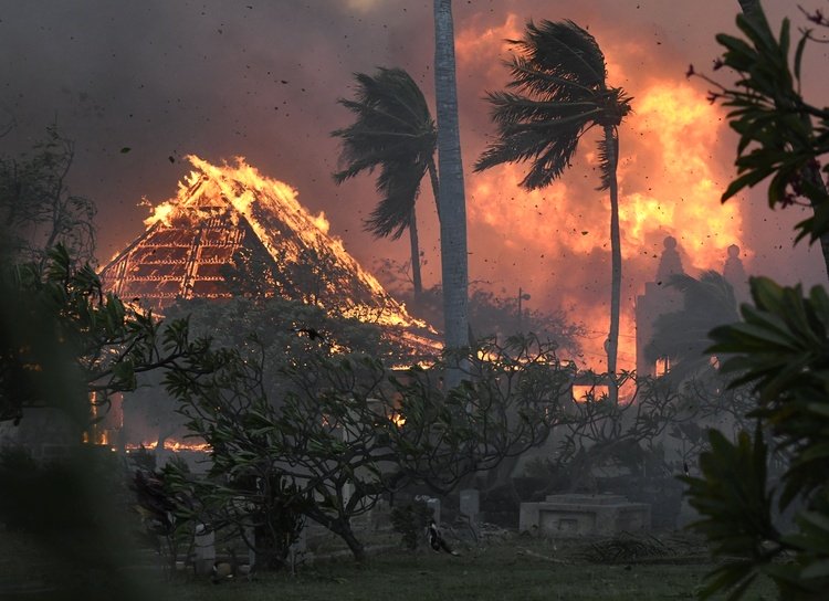 Hawaii, pesante bilancio degli incendi — Il Globo