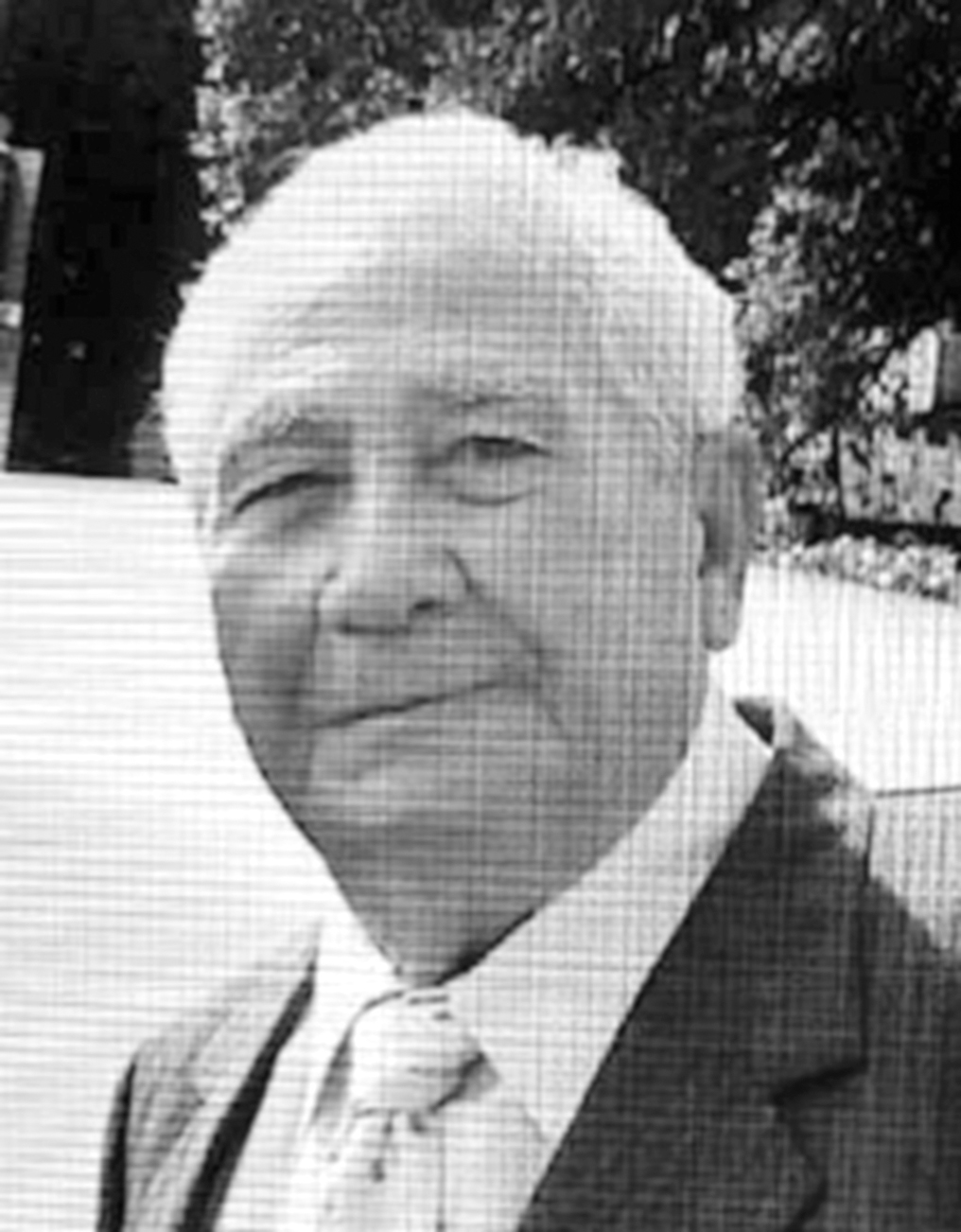 Michele Di Carlo — Il Globo