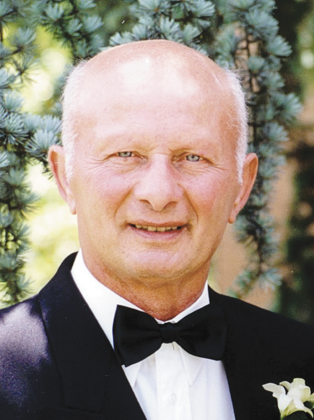 Sebastiano Geremia — Il Globo