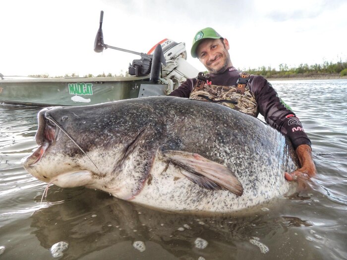 Businessman might have landed world record with nine-foot catfish