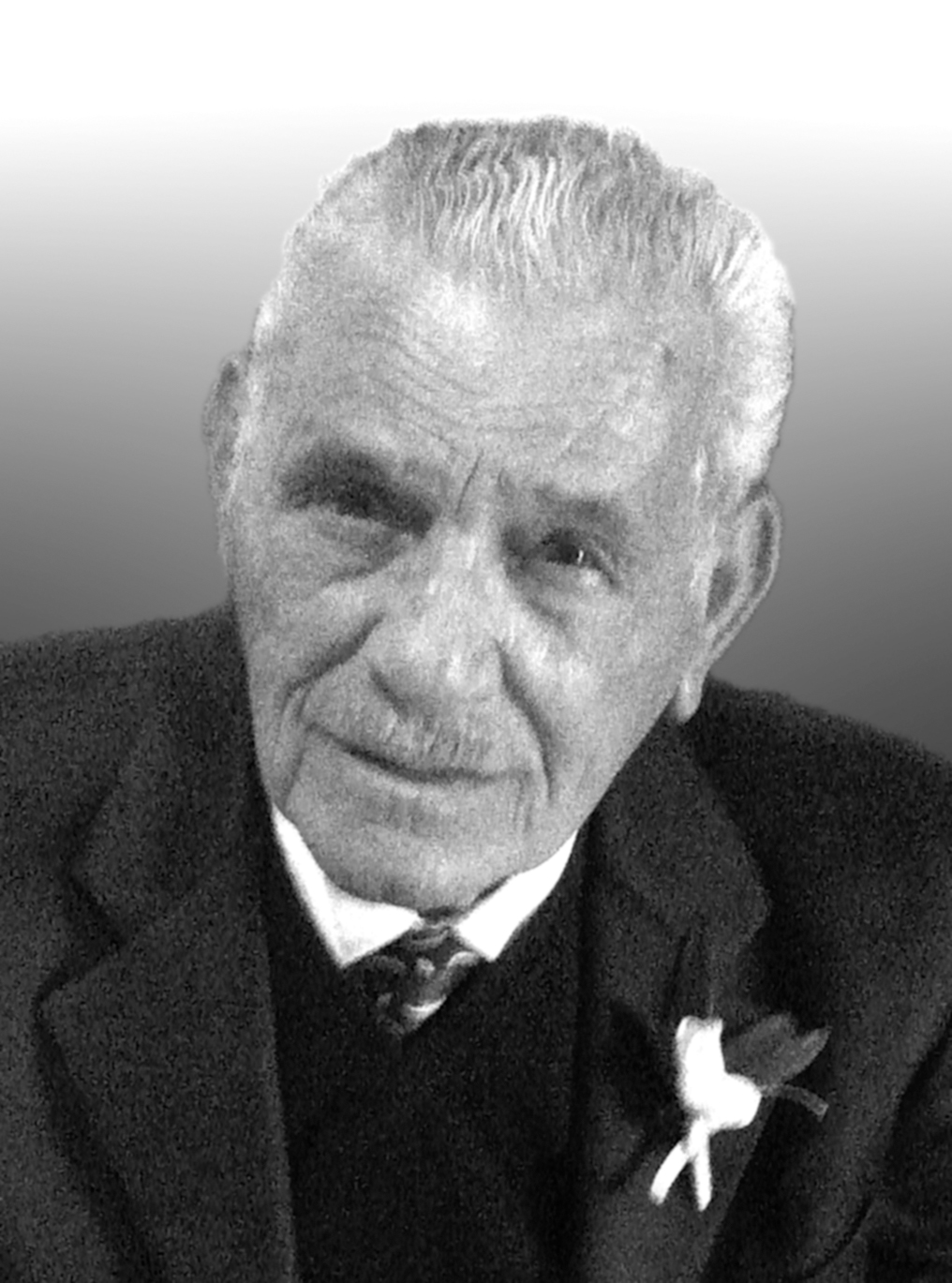 Francesco Luci (ved. Matalone) — Il Globo