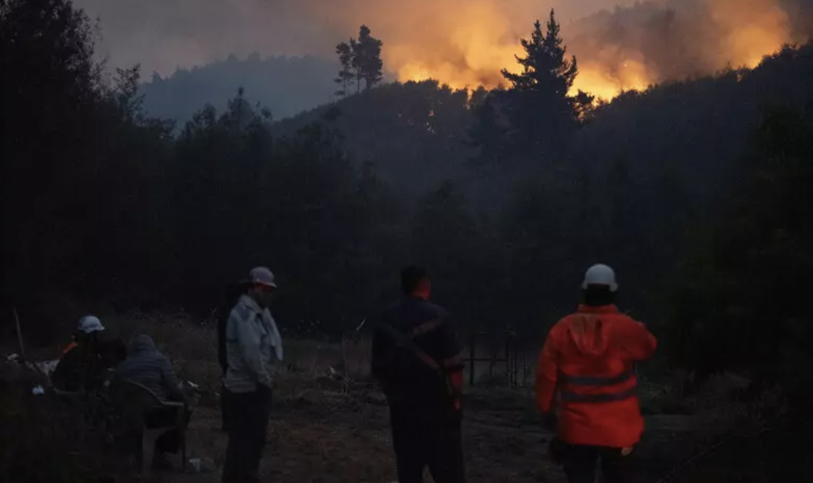 Incendi forestali in Cile: in manette il principale sospettato
